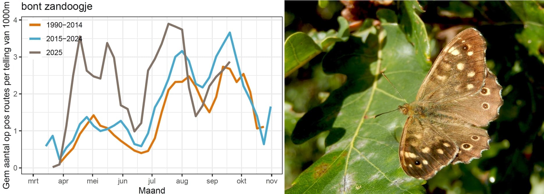 Kars Veling, Meetnet